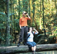 Birdwatching on the Fraser Coast - Tweed Heads Accommodation