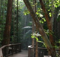 Basin Lake Track - Tweed Heads Accommodation