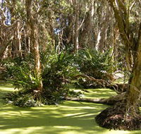 Arkarra Lagoons and Tea Gardens - Tweed Heads Accommodation