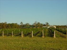 Kingsley Grove Estate - Tweed Heads Accommodation 0