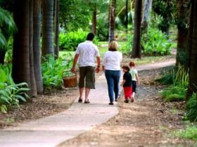 Emerald Botanic Gardens - Tweed Heads Accommodation 0