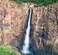 Buujan Quiinbiira Walk Wet Tropics Great Walk - Tweed Heads Accommodation
