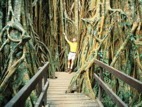 Yungaburra QLD Tweed Heads Accommodation