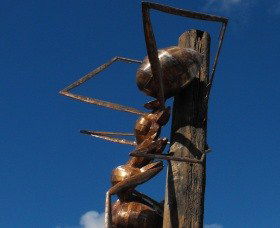 Augathella Meat Ant Park And Sculpture - Tweed Heads Accommodation 0
