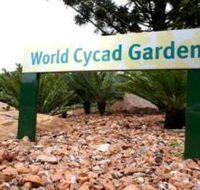 Anderson Park Botanic Gardens - Tweed Heads Accommodation