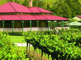 OReillys Canungra Valley Vineyards - Tweed Heads Accommodation 0