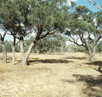 Forest Den National Park - Tweed Heads Accommodation