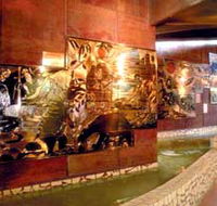 Riversleigh Fossil Centre - Tweed Heads Accommodation