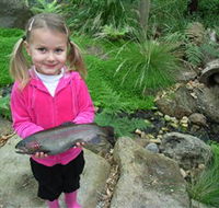 Wild Food Farm  Cafe - Tweed Heads Accommodation