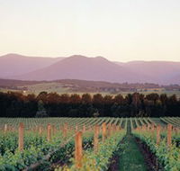 Domaine Chandon - Tweed Heads Accommodation
