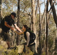 Greater Bendigo National Park - Tweed Heads Accommodation