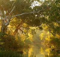 Brimbank Park - Tweed Heads Accommodation