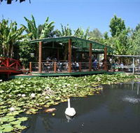 Blue Lotus Water Garden - Tweed Heads Accommodation