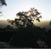 Yarra Flats - Tweed Heads Accommodation