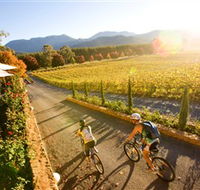 Boyntons Feathertop Winery - Tweed Heads Accommodation