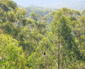 Bunyip State Park - Tweed Heads Accommodation 0