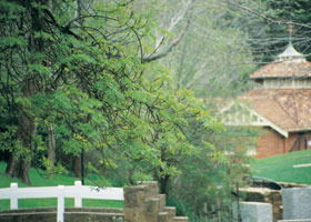 Hepburn Regional Park - Tweed Heads Accommodation 0