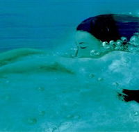 Muse - Tweed Heads Accommodation