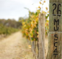 Stanton and Killeen Wines - Tweed Heads Accommodation