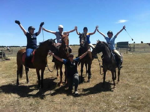 Saddle On Riding School - Tweed Heads Accommodation 1