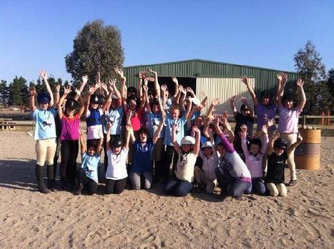 Saddle On Riding School - Tweed Heads Accommodation 2