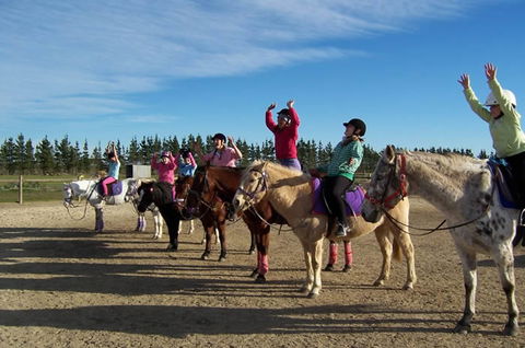 Saddle On Riding School - Tweed Heads Accommodation 3