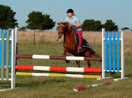 Saddle On Riding School - Tweed Heads Accommodation 5