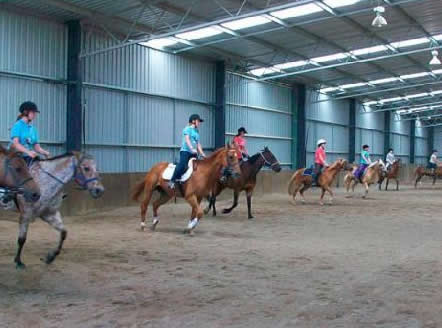 Saddle On Riding School - Tweed Heads Accommodation 7