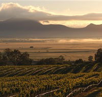 Montara Wines - Tweed Heads Accommodation
