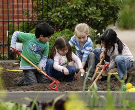 The Ian Potter Foundation Children's Garden - Tweed Heads Accommodation 0
