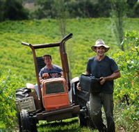 Kellybrook Winery  Kelly Brothers Cider - Tweed Heads Accommodation