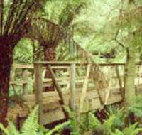 Mount Worth State Park - Tweed Heads Accommodation