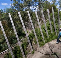 Herring Island Environmental Sculpture Park - Tweed Heads Accommodation