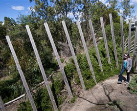 Herring Island Environmental Sculpture Park - Tweed Heads Accommodation 0
