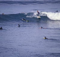 Point Addis Marine National Park - Tweed Heads Accommodation