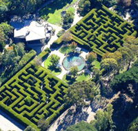 Ashcombe Maze  Lavender Gardens - Tweed Heads Accommodation