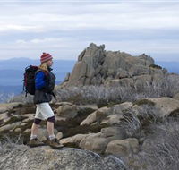 Mount Buffalo National Park - Tweed Heads Accommodation