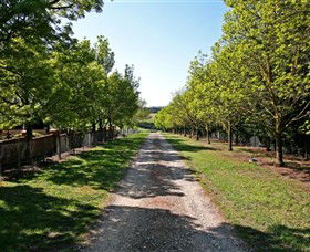 Waybourne Winery - Tweed Heads Accommodation 0