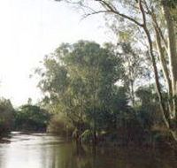 Banksia Park - Tweed Heads Accommodation