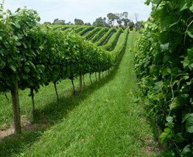 The Cups Estate - Tweed Heads Accommodation 0