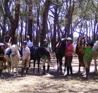 Bellarine Horse Riding Centre - Tweed Heads Accommodation