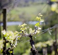 Kyneton Ridge Estate - Tweed Heads Accommodation