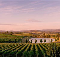 Oakridge Wines - Tweed Heads Accommodation