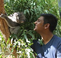 Healesville Sanctuary - Tweed Heads Accommodation