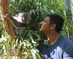 Healesville Sanctuary - Tweed Heads Accommodation 0