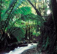Melba Gully - Tweed Heads Accommodation