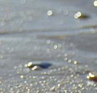 Cape Liptrap Coastal Park - Tweed Heads Accommodation