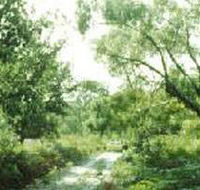 Holey Plains State Park - Tweed Heads Accommodation