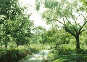Holey Plains State Park - Tweed Heads Accommodation 0