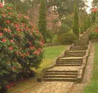 Maroondah Reservoir Park - Tweed Heads Accommodation